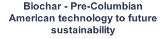 Biochar - Pre-Columbian American technology to future sustainability