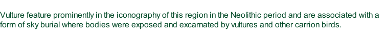 Vulture feature prominently in the iconography of this region in the Neolithic period and are associated with a form of sky burial where bodies were exposed and excarnated by vultures and other carrion birds.